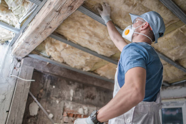 Best DIY Insulation Kits and Guidance in Three Rivers, TX