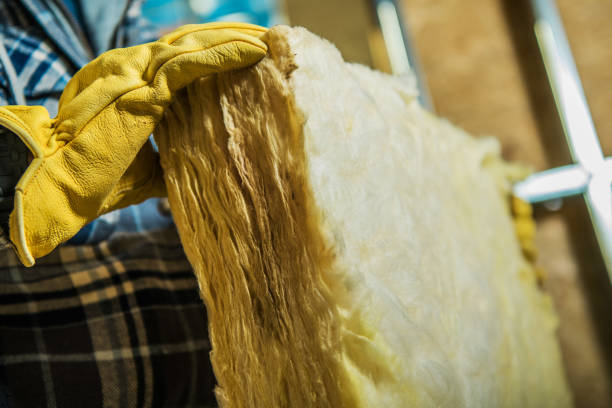 Best Cellulose Insulation in Three Rivers, TX